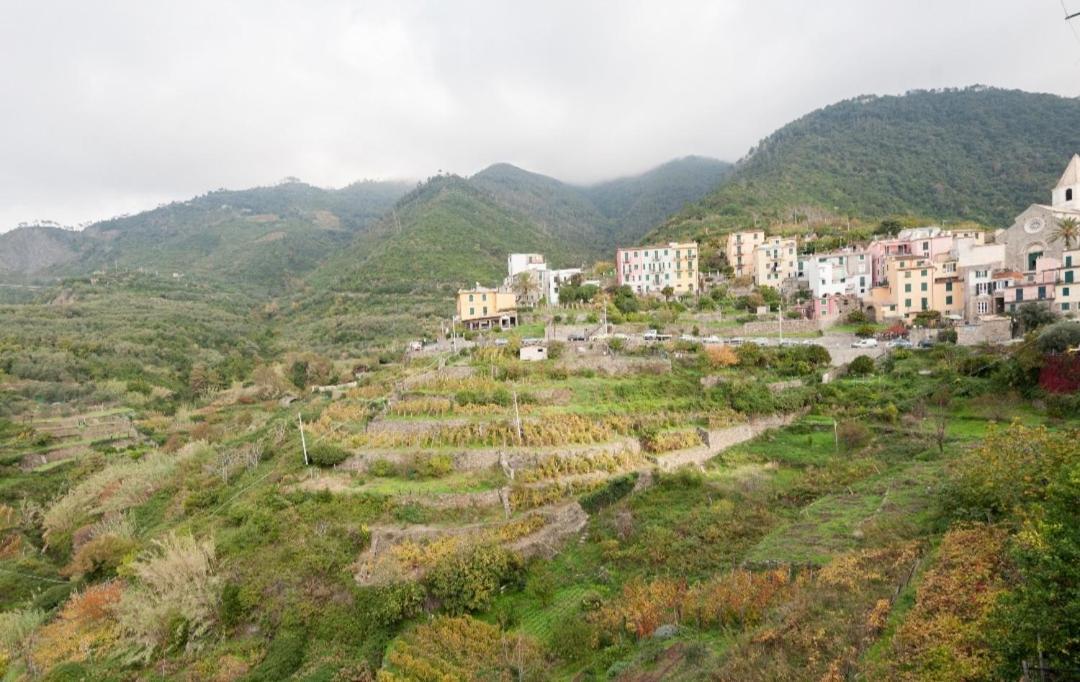 Hotel Arbanella Corniglia Pokoj fotografie
