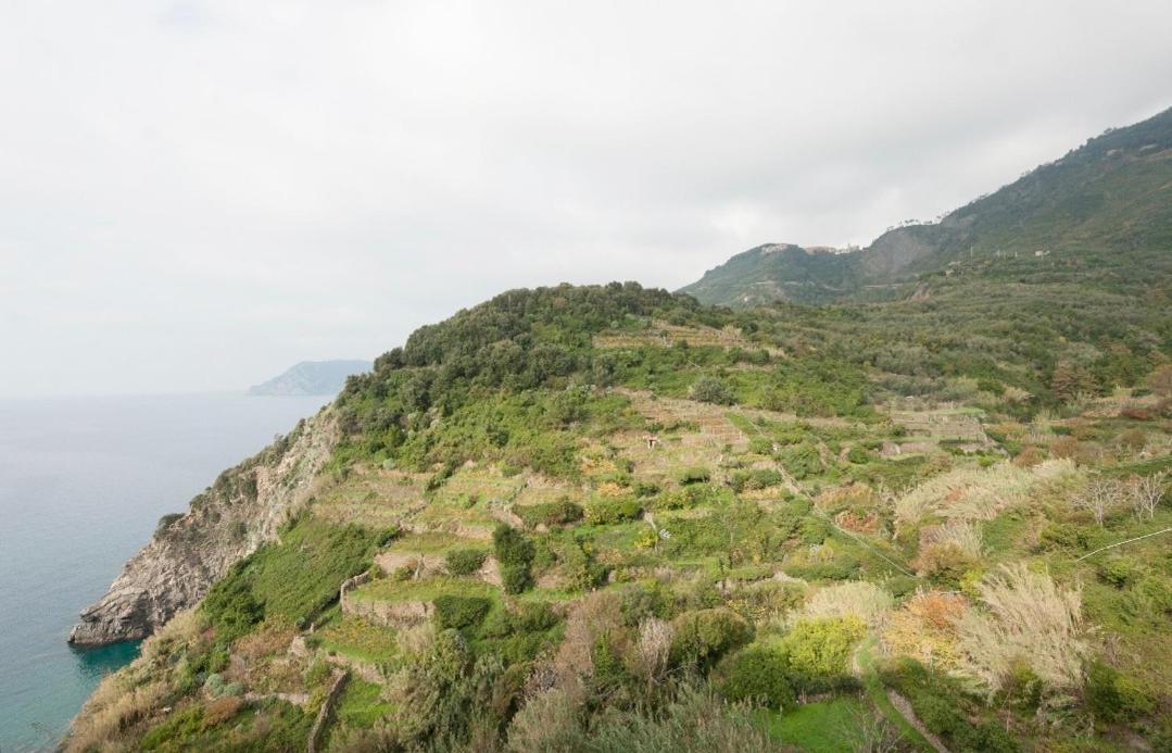 Hotel Arbanella Corniglia Pokoj fotografie